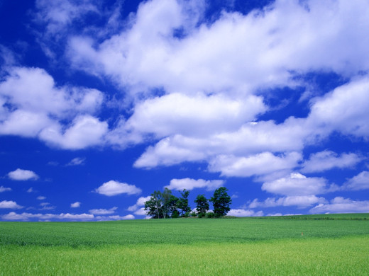 24740 (a): :1024x768